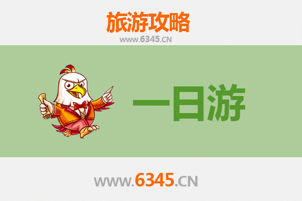 阿拉善自驾一日游攻略：穿越沙漠与草原的极致体验