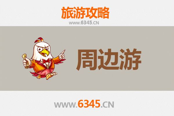 阿拉善周边游攻略：探秘大漠奇观与草原风情