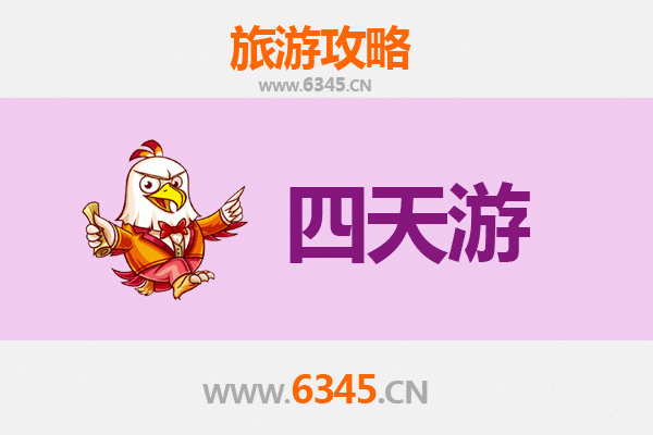 阿拉善四天三夜深度游攻略：沙漠探险与文化体验