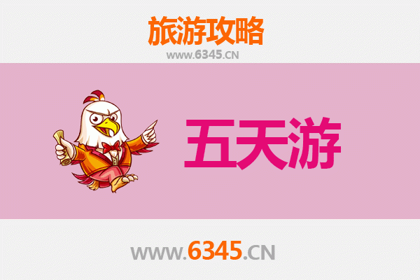 阿拉善五天四夜深度游攻略：沙漠探险与文化体验全解析