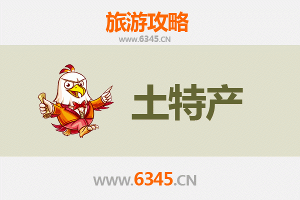 阿拉善右旗旅游必带土特产全攻略