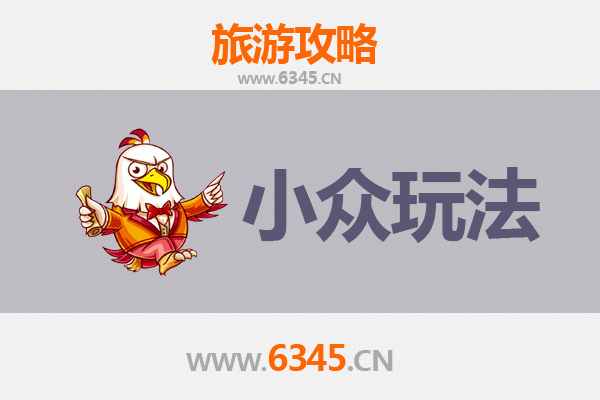 阿拉善秘境探索：穿越沙漠、寻迹古驼道与星空露营小众玩法