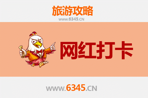 阿拉善网红打卡地全攻略：探索沙漠与绿洲的极致魅力