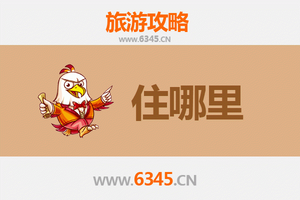 阿拉善民宿攻略：沙漠星空与蒙古风情的完美体验