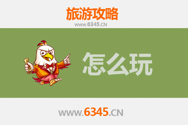 节假日阿拉善深度游：沙漠、星空与秘境全攻略